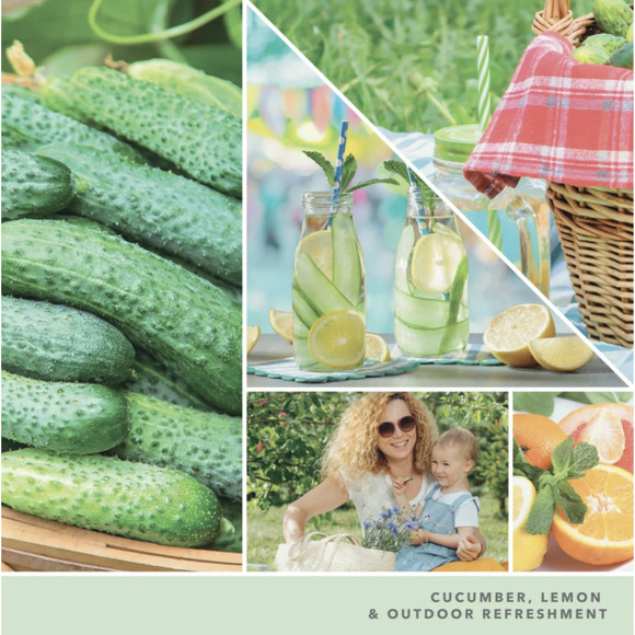 Yankee Candle 3-pack Mini Candle Set Lemon Apple Sandalwood Chocolate Vanilla - Picture 11 of 15